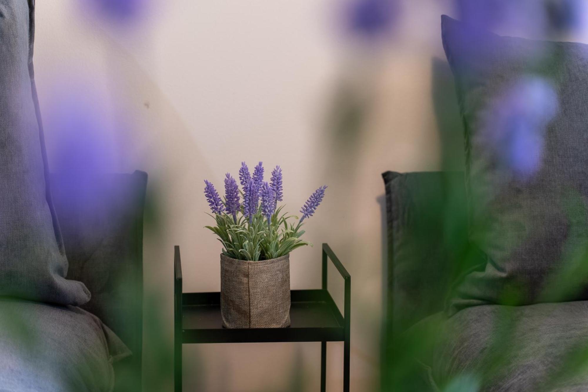 Stay Blossom 카발라 외부 사진